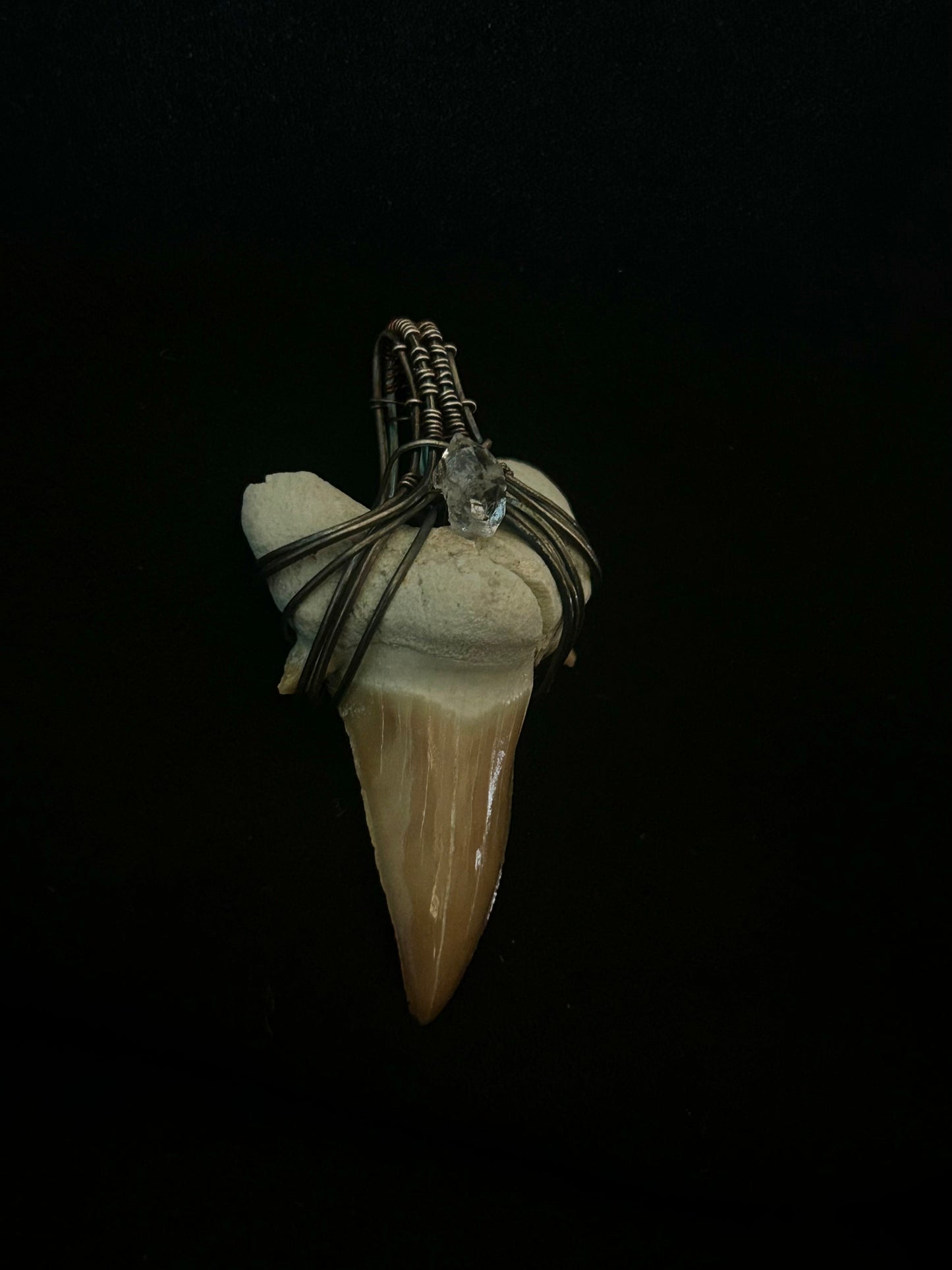 Real Shark Tooth Fossil Pendant (cracked) - Sterling Silver