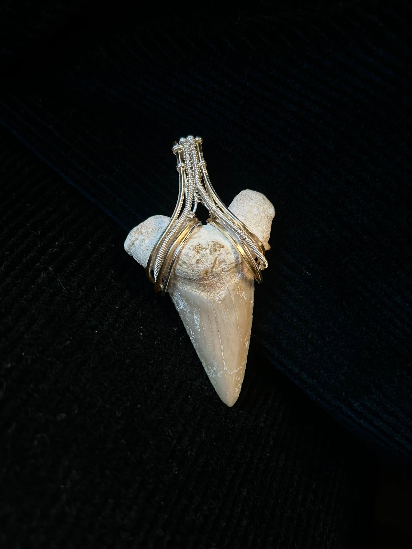 Real Shark Tooth Fossil Pendant - Mixed Metals