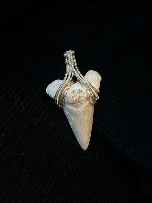 Real Shark Tooth Fossil Pendant - Mixed Metals