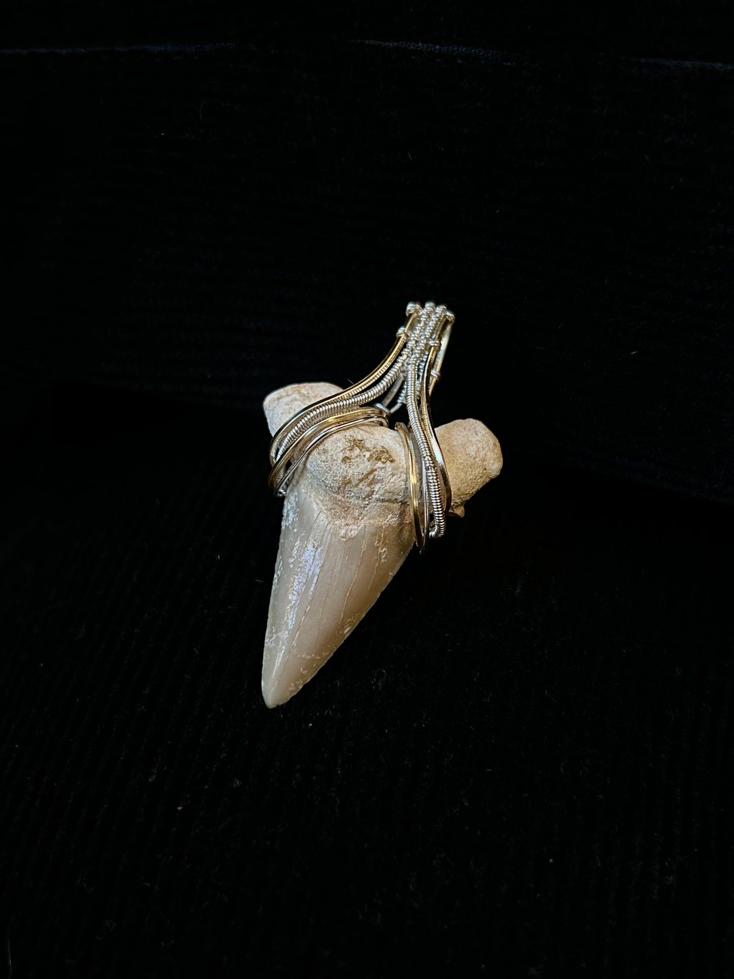Real Shark Tooth Fossil Pendant - Mixed Metals