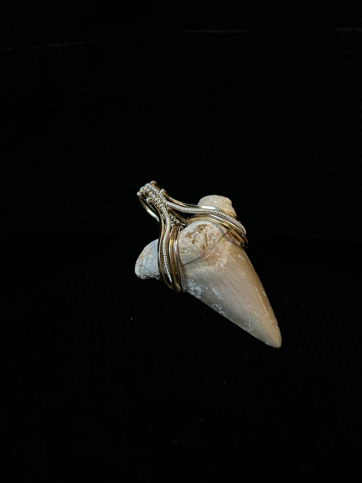 Real Shark Tooth Fossil Pendant - Mixed Metals
