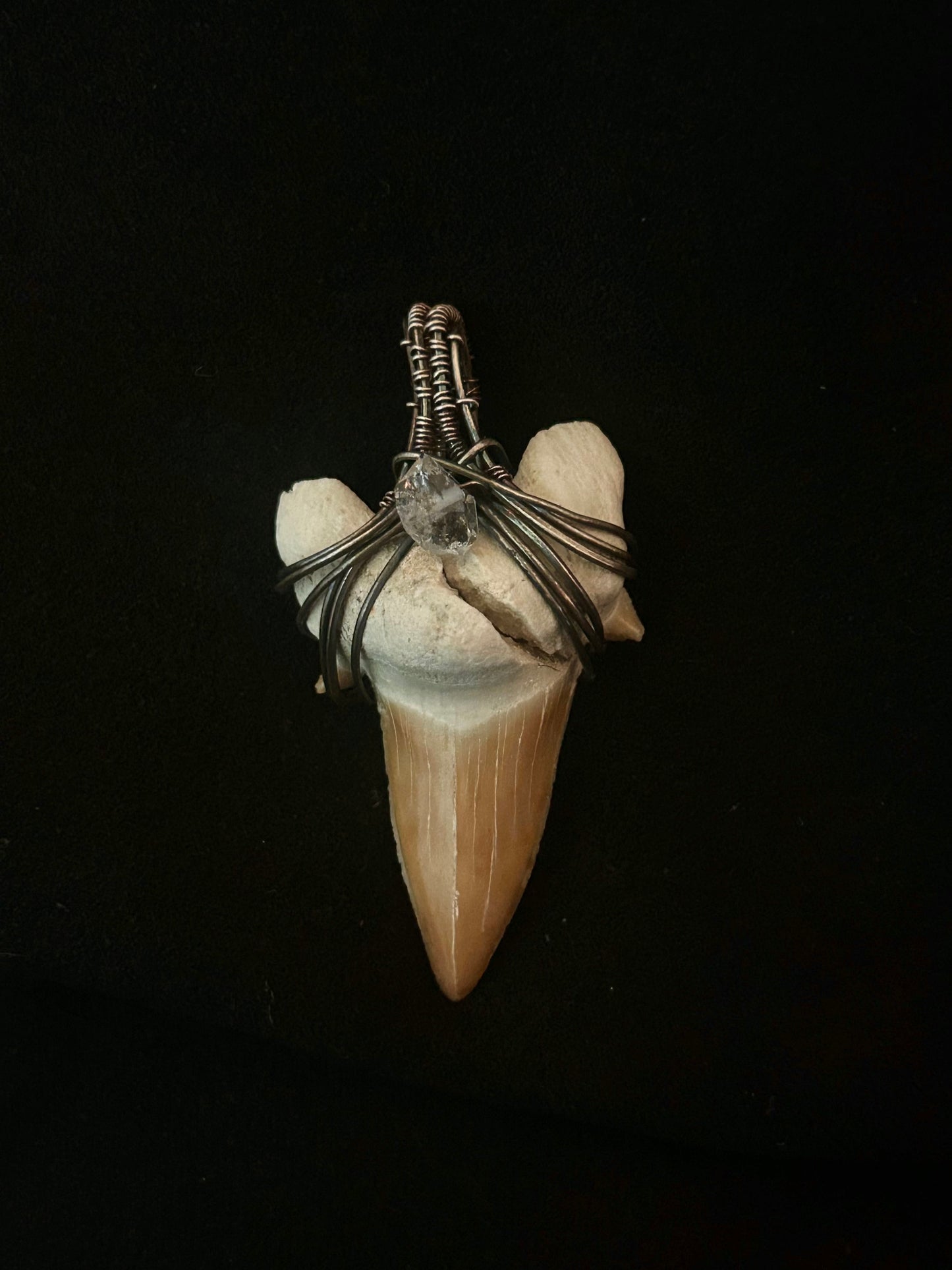 Real Shark Tooth Fossil Pendant (cracked) - Sterling Silver