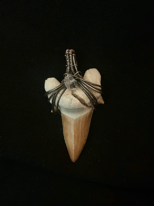 Real Shark Tooth Fossil Pendant (cracked) - Sterling Silver