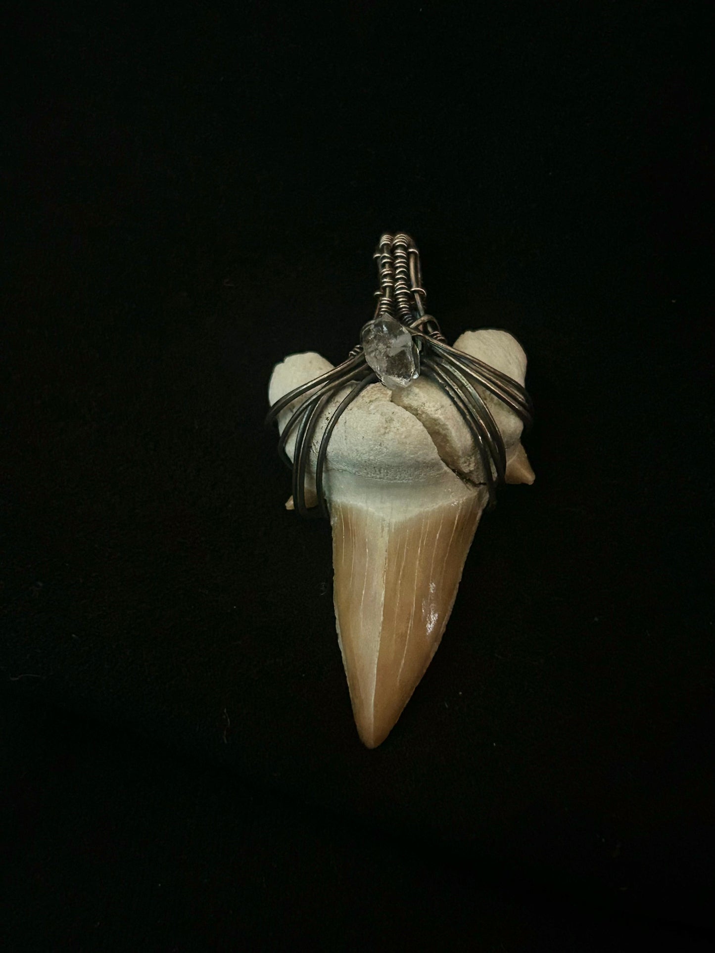 Real Shark Tooth Fossil Pendant (cracked) - Sterling Silver