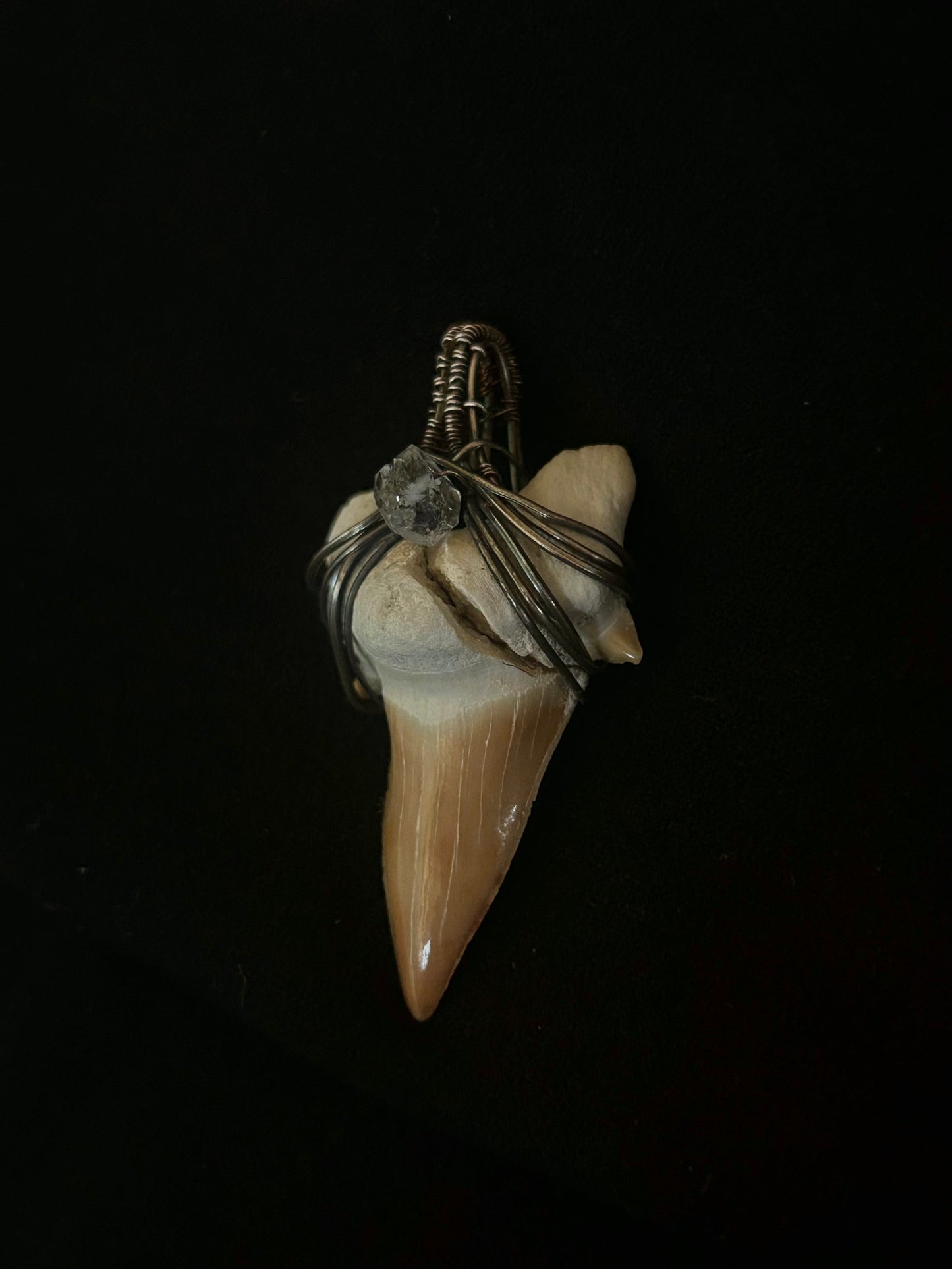 Real Shark Tooth Fossil Pendant (cracked) - Sterling Silver
