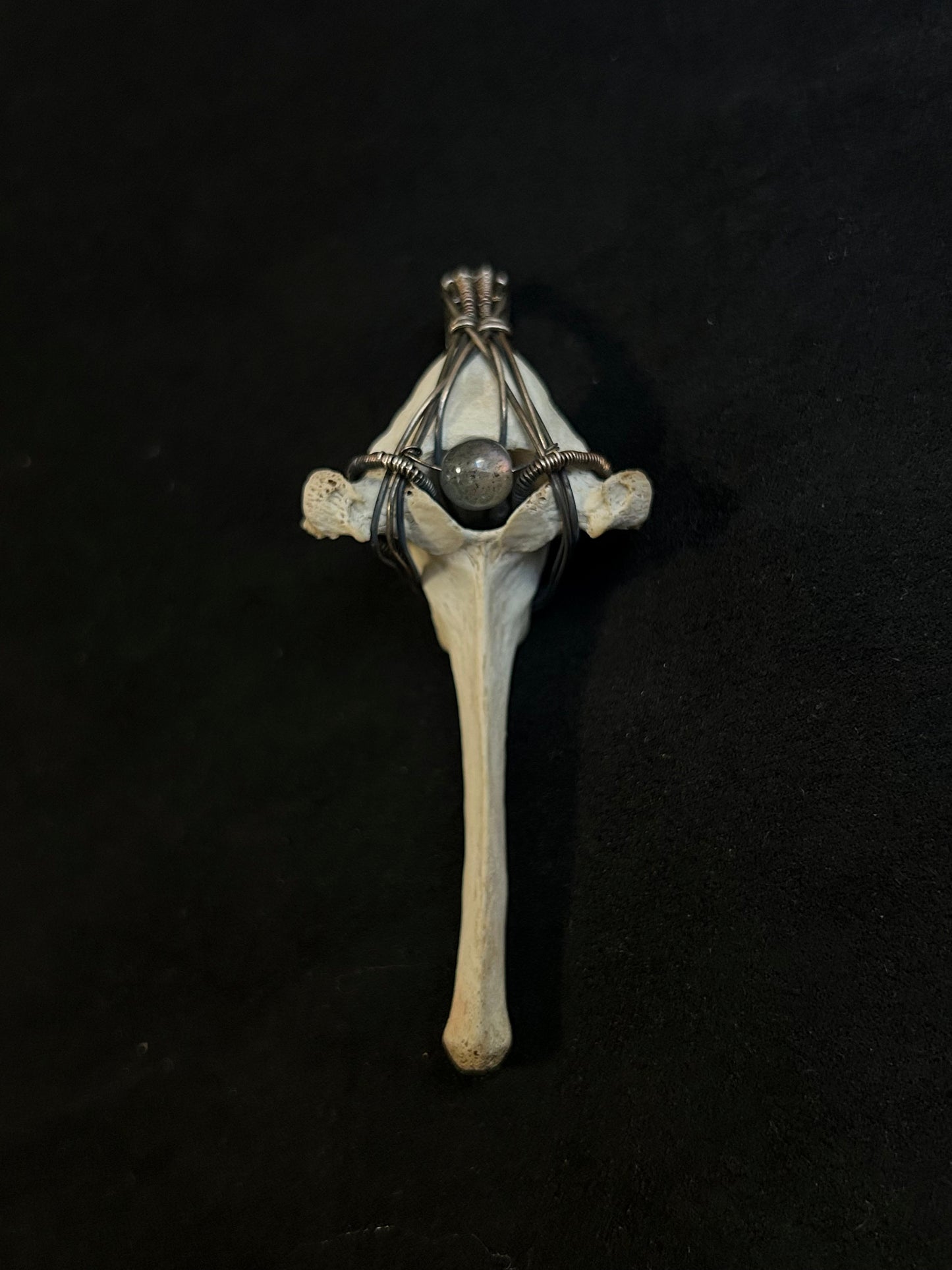 Real Fox Vertebrae Pendant - Sterling Silver