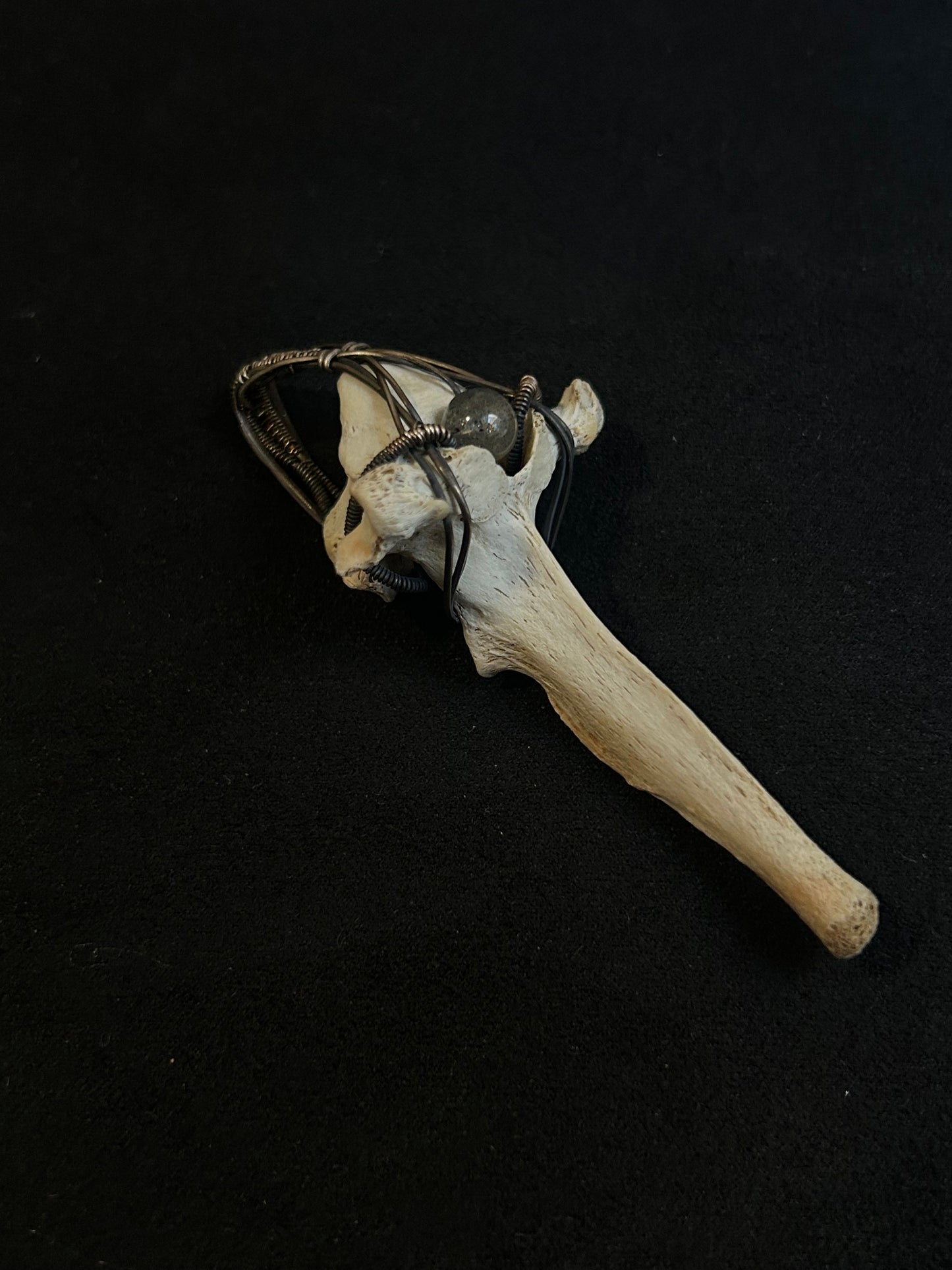 Real Fox Vertebrae Pendant - Sterling Silver